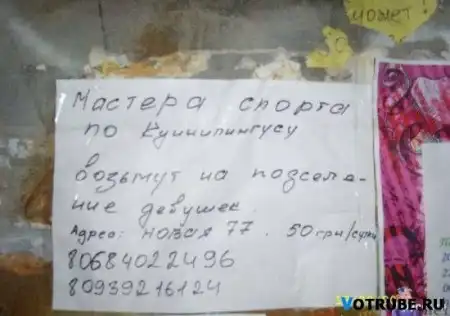 Прикольные картинки