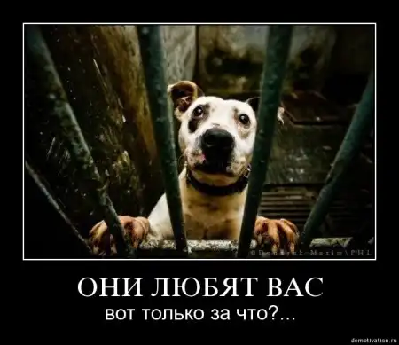 Демотиваторы ч. 13