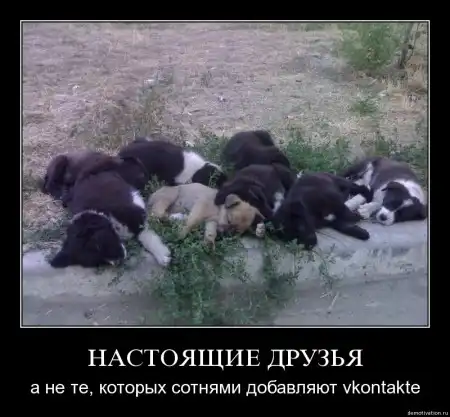 Демотиваторы ч. 13