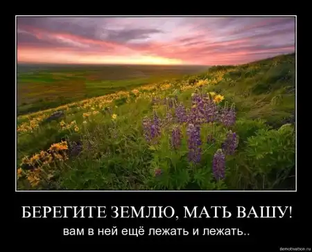 Демотиваторы ч. 13
