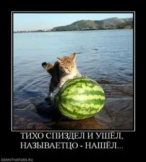 Немного demotivators