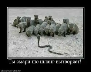 Немного demotivators