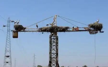 Энциклопедия человеческой глупости
