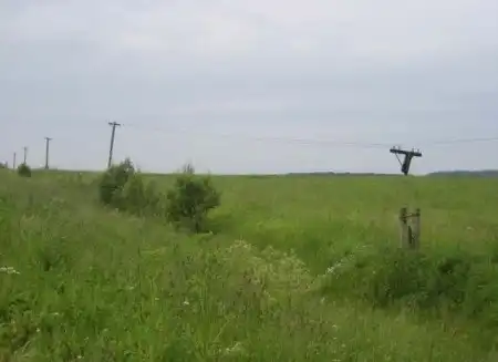 Энциклопедия человеческой глупости