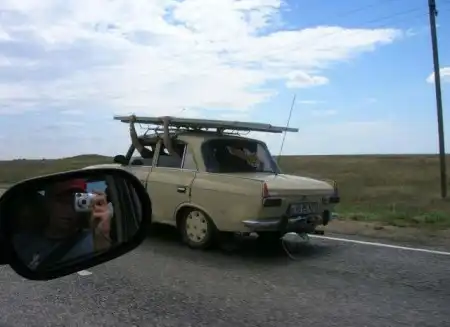 Энциклопедия человеческой глупости