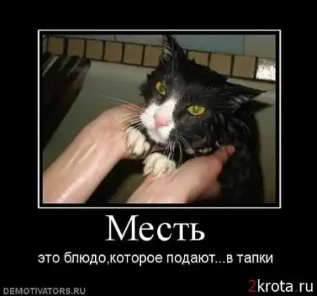 еще прикольные картинки:)