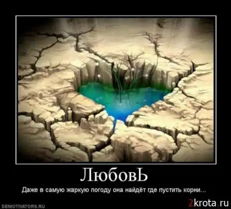 еще прикольные картинки:)