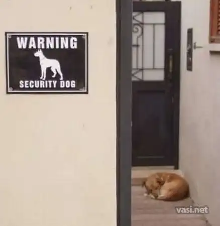 О зверятах..........)