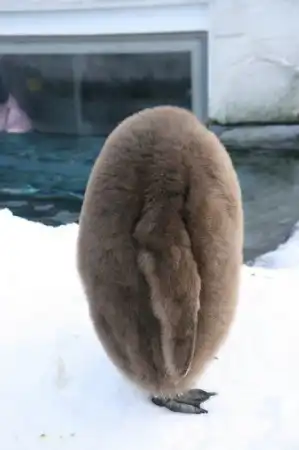 фотоподборочка