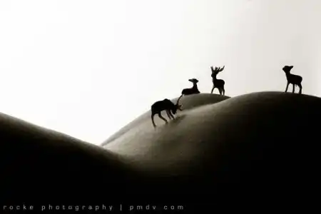 Забавная эротика