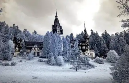 Белое лето 2.