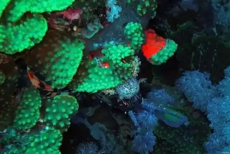 Под водой