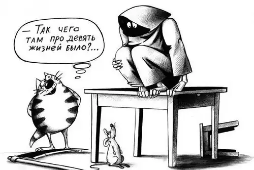  Карикатуры (37 картинок)