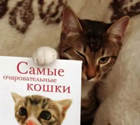 Миром правят
