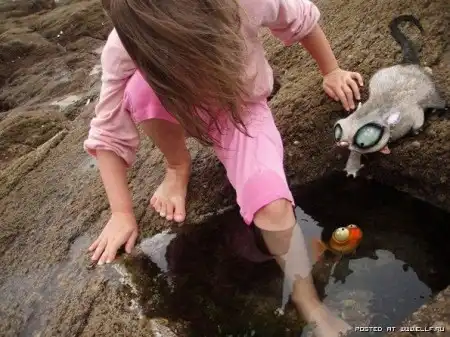 КотеГг