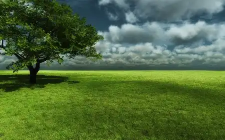 hq-nature-scenes-wallpapers