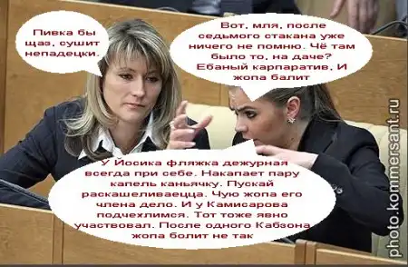Чем занимаются девушки в думе