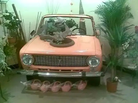 Фотоприколы дня