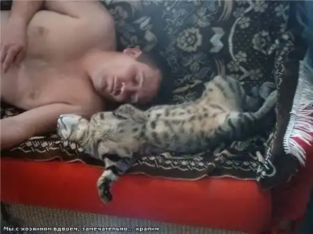 Фотоприколы дня