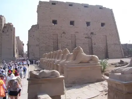 Египет 2008