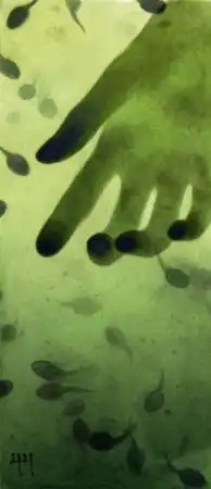 Фантастические водные жители