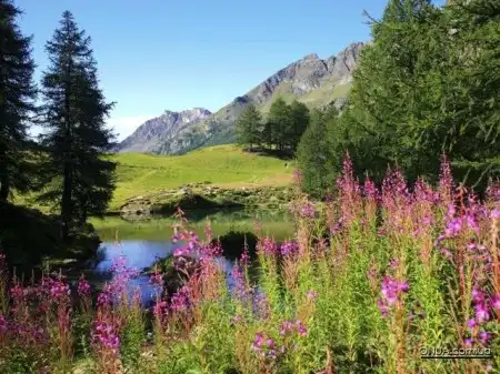 Подборка красивых картинок