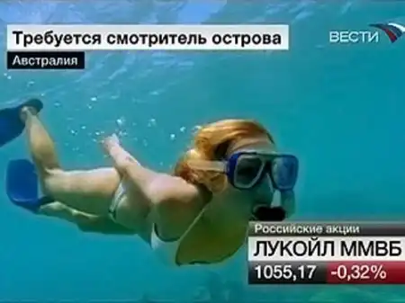 Требуется смотритель. Профессия смотритель острова. Смотритель райского острова профессия. Работа смотритель острова. Остров Гамильтон смотритель вакансия.