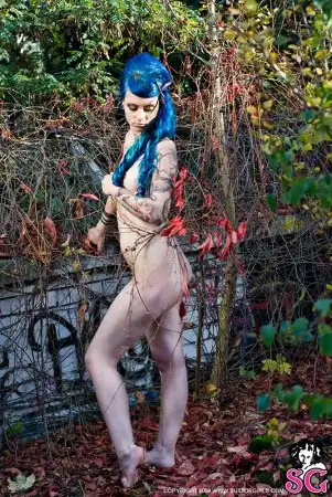 NEW from "SG" [Kittiecat]