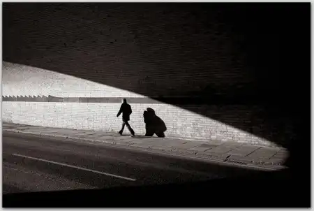 Фотограф Ferhat Celik