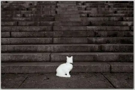 Фотограф Ferhat Celik