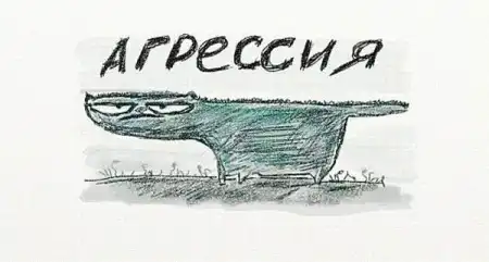 Кошачьи эмоции...)