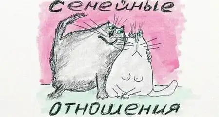 Кошачьи эмоции...)