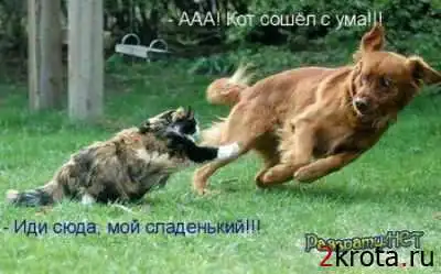 ПоZZитивЧег#3
