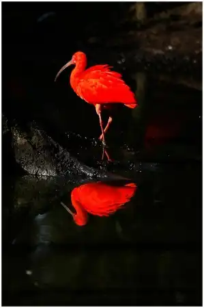 Мир в Фотографии - World in Photo (часть 5)