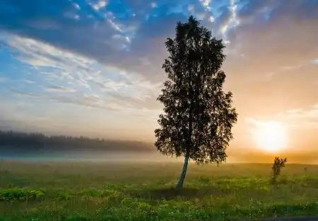 Мир в Фотографии - World in Photo (часть 5)