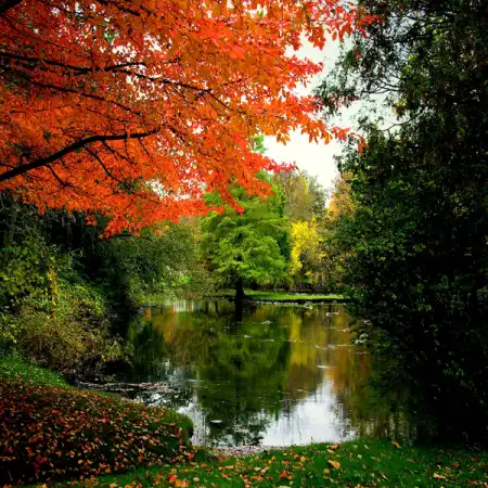 Мир в Фотографии - World in Photo (часть 5)