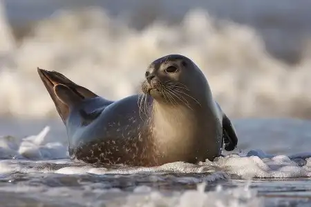 Мир в Фотографии - World in Photo (часть 5)