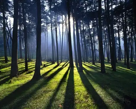 Мир в Фотографии - World in Photo (часть 5)