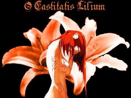 The Elfen Lied (подборка)