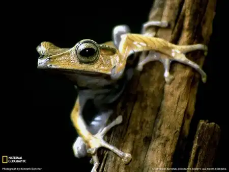 Отличная фотоподборка от National Geographic