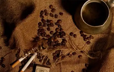 [Coffee and Cigarettes]