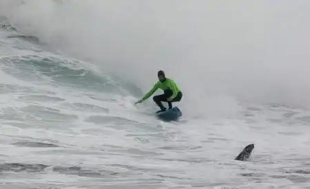 Riding the waves