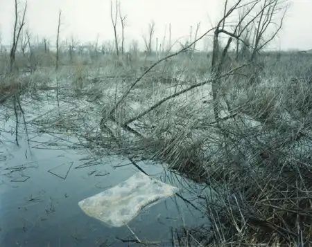 Американский фотограф Alec Soth