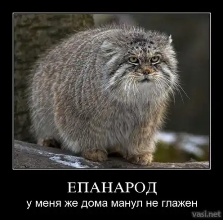 Новые демотиваторы