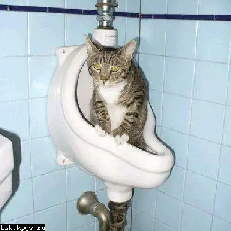 Приколюшки