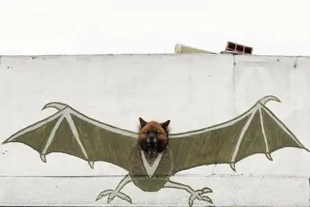 Приколюшки
