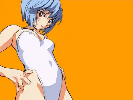 The Neon Genesis Evangelion #1