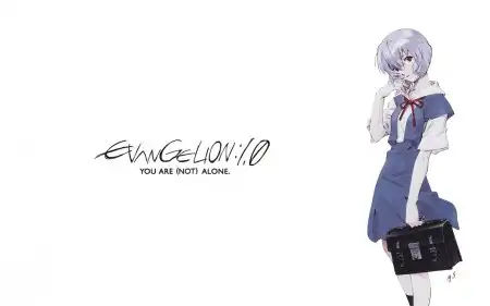 The Neon Genesis Evangelion #1