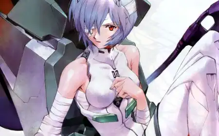 The Neon Genesis Evangelion #1