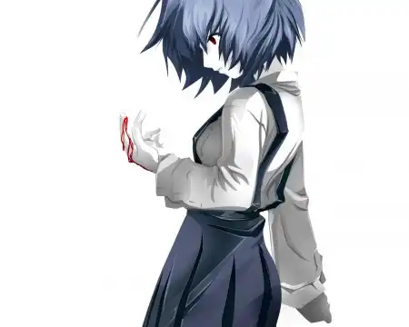 The Neon Genesis Evangelion #1